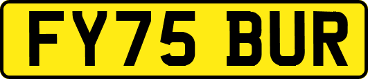 FY75BUR