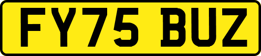 FY75BUZ
