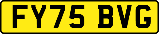 FY75BVG