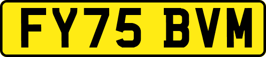 FY75BVM