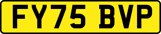 FY75BVP