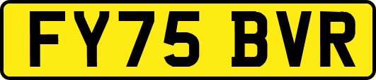 FY75BVR