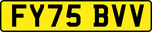 FY75BVV