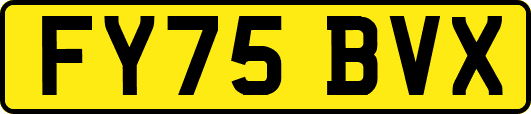 FY75BVX