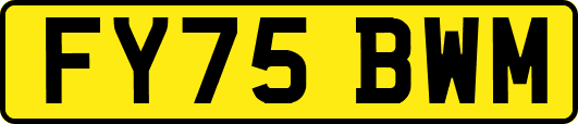 FY75BWM