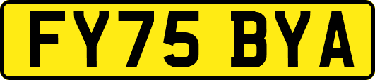 FY75BYA