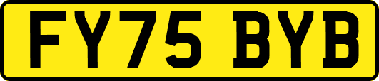 FY75BYB