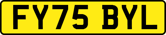 FY75BYL