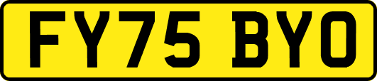 FY75BYO