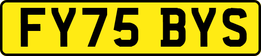 FY75BYS