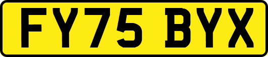 FY75BYX