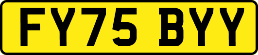 FY75BYY