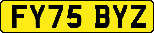 FY75BYZ