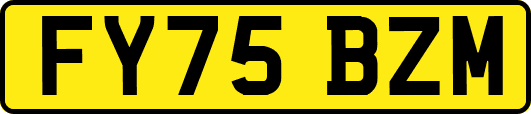 FY75BZM