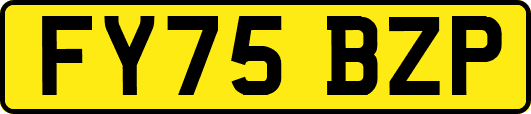 FY75BZP