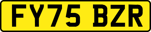 FY75BZR