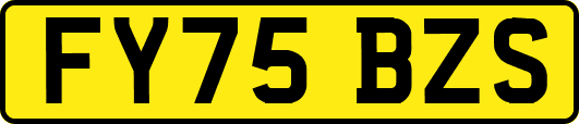 FY75BZS