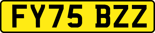 FY75BZZ