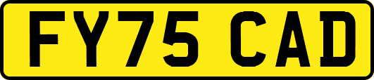 FY75CAD