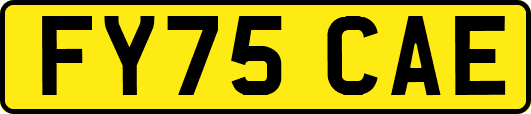 FY75CAE