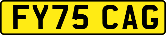 FY75CAG
