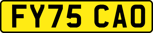FY75CAO