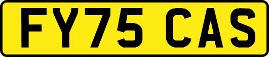 FY75CAS