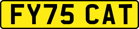 FY75CAT