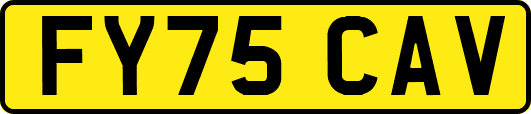 FY75CAV