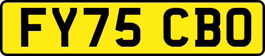 FY75CBO
