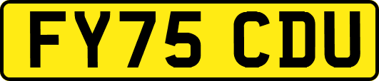 FY75CDU