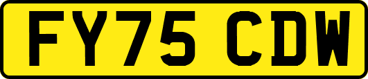 FY75CDW