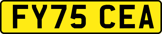 FY75CEA