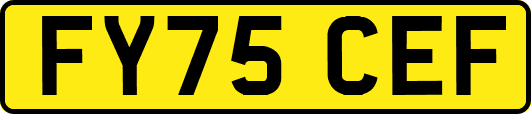 FY75CEF