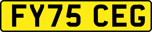 FY75CEG