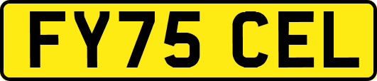 FY75CEL