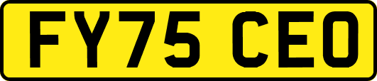 FY75CEO
