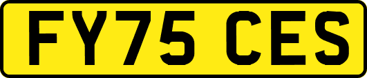 FY75CES