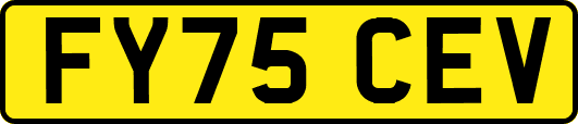 FY75CEV