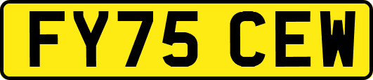 FY75CEW