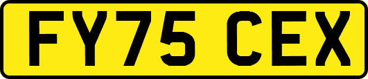 FY75CEX