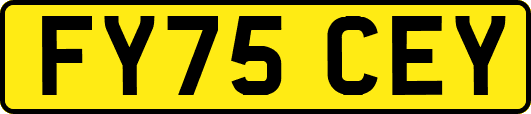 FY75CEY