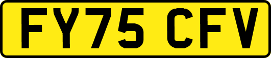 FY75CFV