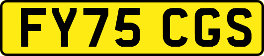 FY75CGS