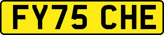 FY75CHE