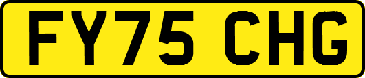 FY75CHG