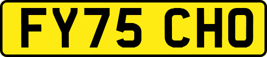 FY75CHO
