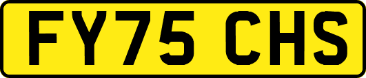 FY75CHS