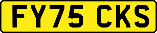 FY75CKS