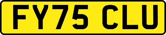 FY75CLU